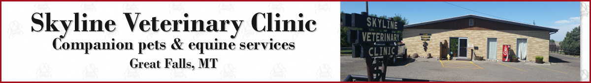 View SKYLINE VETERINARY CLINIC details