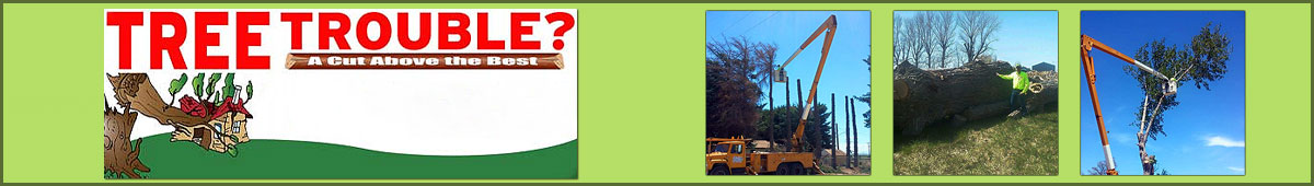 View TREE TROUBLE details