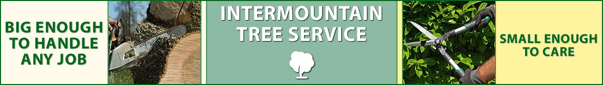 View INTERMOUNTAIN TREE SERVICE details