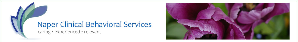 View NAPER CLINICAL BEHAVIORAL SERVICES, INC. details