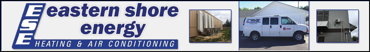 View EASTERN SHORE ENERGY INC details