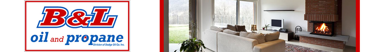 View B & L OIL AND PROPANE INC details