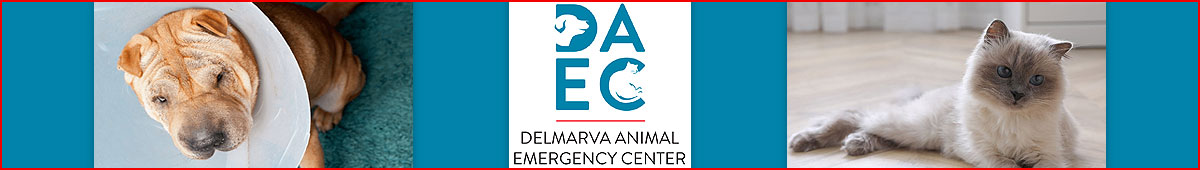 View DELMARVA ANIMAL EMERGENCY CENTER details