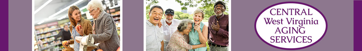 View CENTRAL WV AGING SERVICES details
