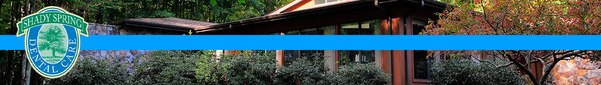 View SHADY SPRING DENTAL CARE details