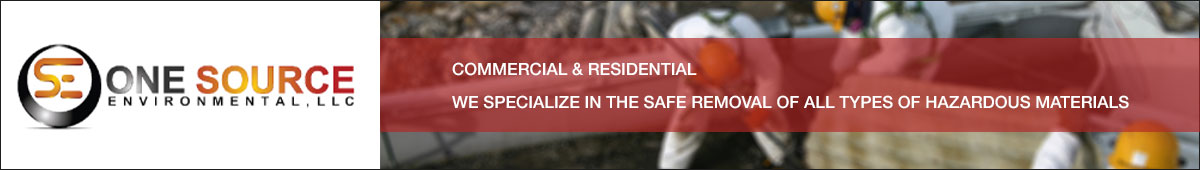 View ONE SOURCE ENVIRONMENTAL LLC details