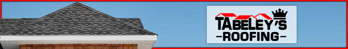 View TABELEY ROOFING CO INC details