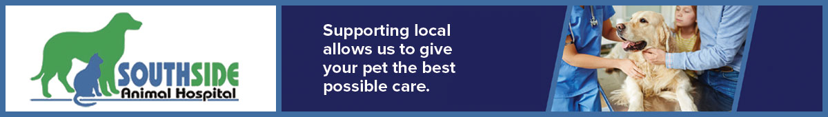 View SOUTHSIDE ANIMAL HOSPITAL details