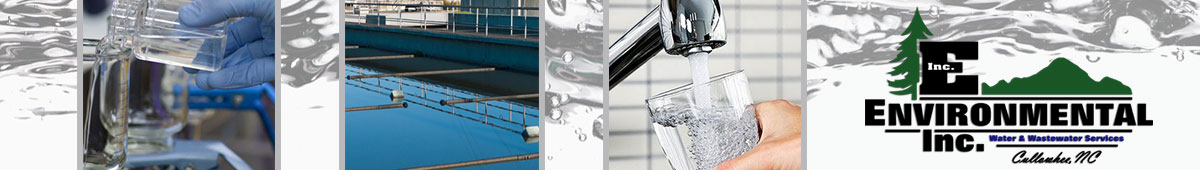 View ENVIRONMENTAL INC details
