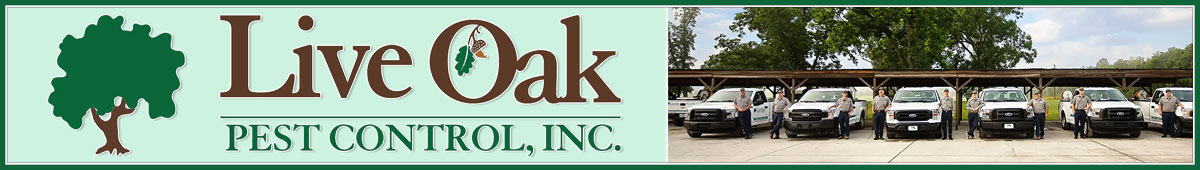 View LIVE OAK PEST CONTROL INC details