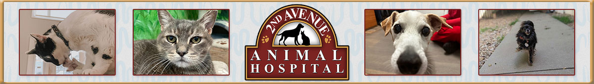 View 2ND AVENUE ANIMAL HOSPITAL details