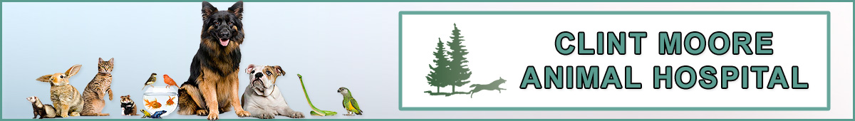 View CLINT MOORE ANIMAL HOSPITAL details