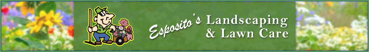 View ESPOSITO'S LANDSCAPING AND LAWN CARE details