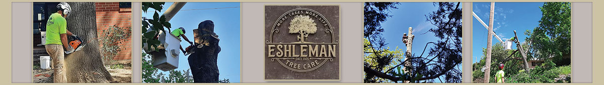 View ESHLEMAN TREE CARE, LLC details