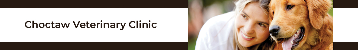 View CHOCTAW VETERINARY CLINIC details