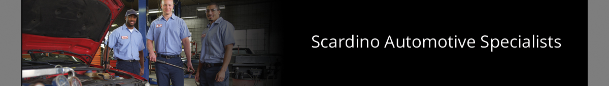 View SCARDINO'S AUTOMOTIVE SPECIALISTS details