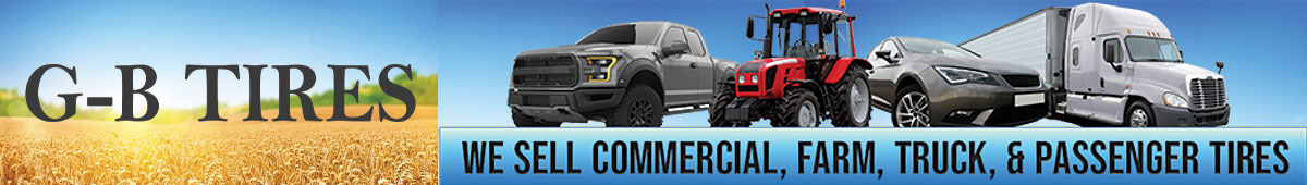 View G-B TIRES, INC details