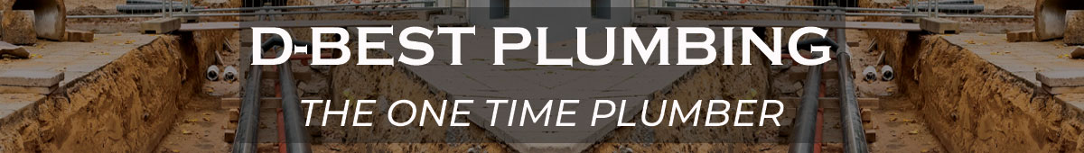 View D-BEST PLUMBING INC details