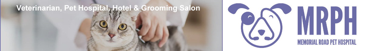 View MEMORIAL ROAD PET HOSPITAL details