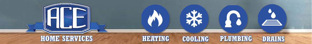 View ACE HOME SERVICES INC details
