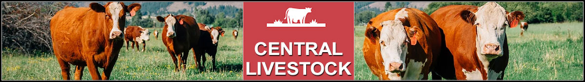 View CENTRAL LIVESTOCK details