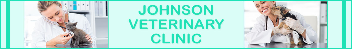 View JOHNSON VETERINARY CLINIC details