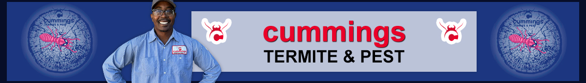 CUMMINGS TERMITE & PEST