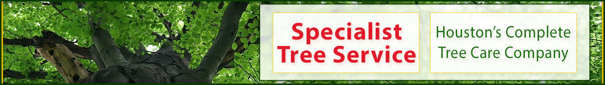 View SPECIALIST TREE SERVICE details