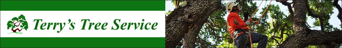 View TERRY'S TREE SERVICE details