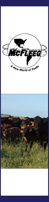 MCFLEEG FEEDS, INC.