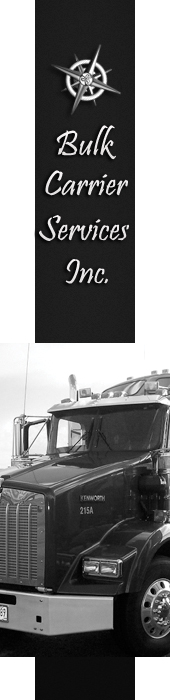 BULK CARRIER SERVICES, INC.