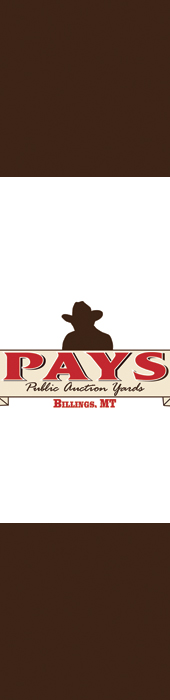 PUBLIC AUCTION YARDS