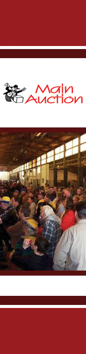 MAIN AUCTION