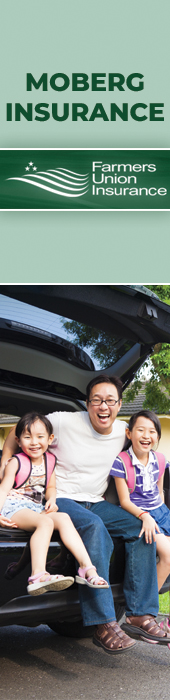 MOBERG INSURANCE