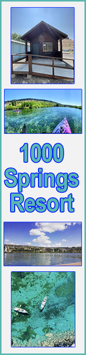 1000 SPRINGS RESORT