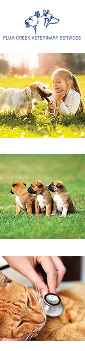 PLUM CREEK VETERINARY SERVICES