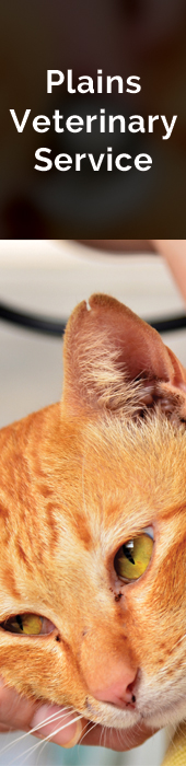 PLAINS VETERINARY SERVICE