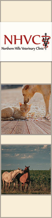 NORTHERN HILLS VETERINARY CLINIC
