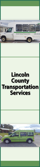 LINCOLN COUNTY TRANSPORTATION SERVICES