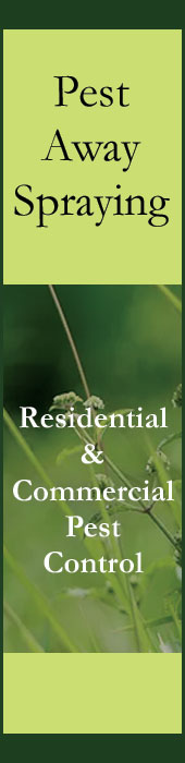 PEST AWAY SPRAYING