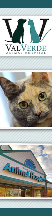 VAL VERDE ANIMAL HOSPITAL