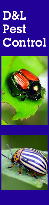 D & L PEST CONTROL