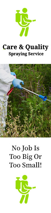 CARE & QUALITY SPRAYING SERVICE
