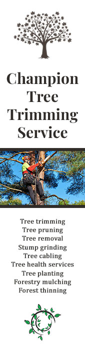 CHAMPION TREE TRIMMING SERVICE LLC