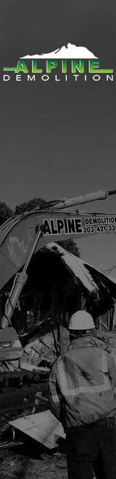 ALPINE DEMOLITION