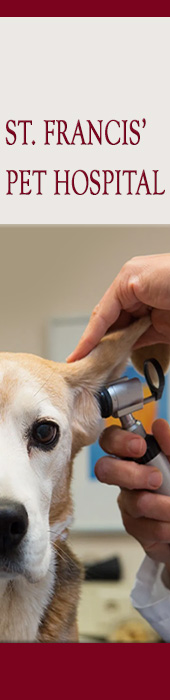ST FRANCES PET HOSPITAL - DARBY
