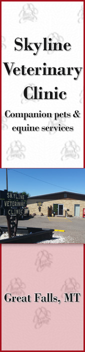 SKYLINE VETERINARY CLINIC