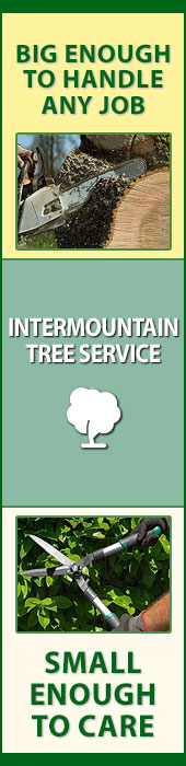 INTERMOUNTAIN TREE SERVICE