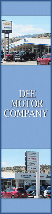 DEE MOTOR COMPANY