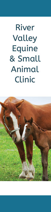 RIVER VALLEY EQUINE CLINIC & SMALL ANIMAL HOSPITAL